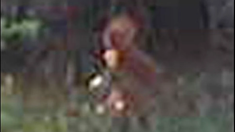 Extraterestru surprins de o camera video in Florida