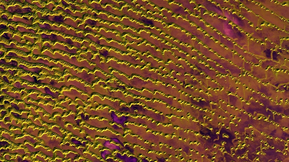 Acest deşert incredibil de ostil arată minunat – FOTO