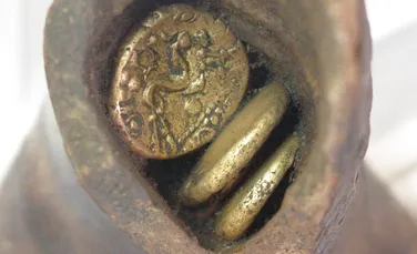 Monede antice, găsite într-un os de vacă, expuse la un muzeu din Anglia