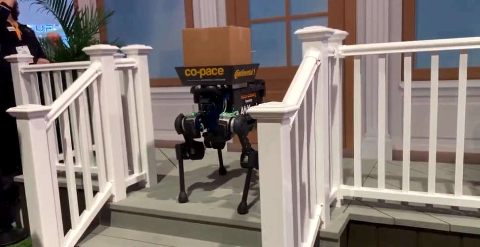 Noii câini-roboţi care îţi pot livra prânzul chiar pe birou