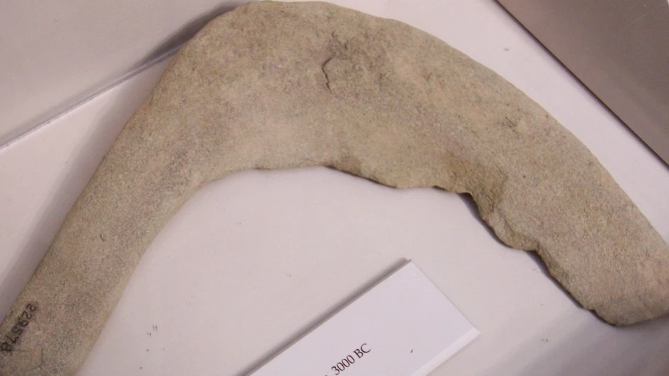 Noi dovezi ADN asupra începuturilor agriculturii în Europa