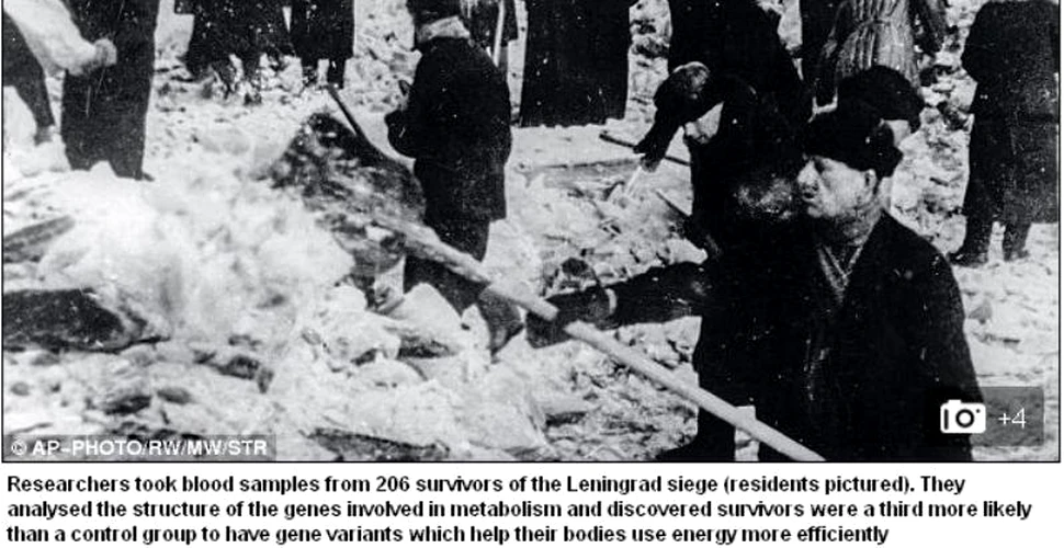 1,5 milioane au murit, 1,5 milioane au supravieţuit în timpul asediului Leningradului. Descoperirea făcută azi de cercetători după ce au recoltat mostre de la 206 de ruşi supravieţuitori