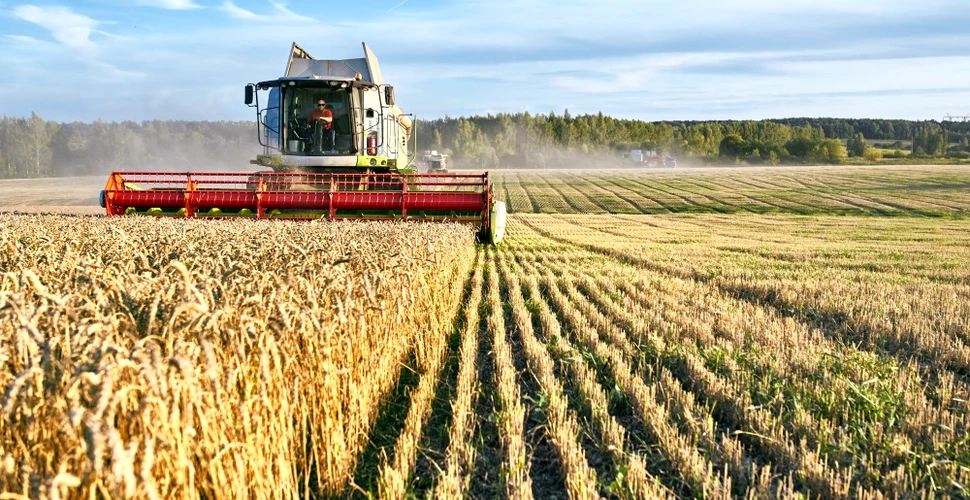 Finanțare pentru energie verde în sectorul agricol și industria alimentară (P)