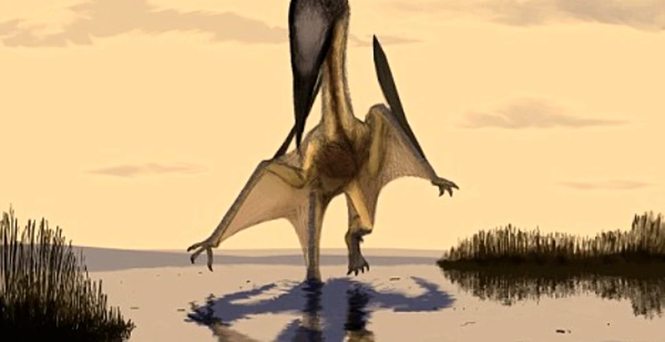 Noua specie de pterozaur descoperita in Marea Britanie