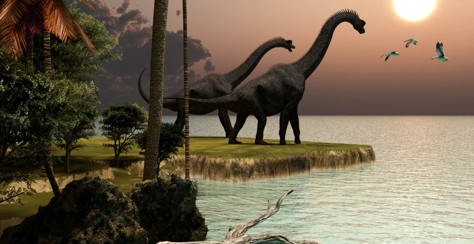 O descriere amănunţită asupra unor fosile poate scoate la iveală unul dintre cele mai mari mistere ale dinozaurilor