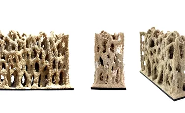 Din pământ şi nisip, un robot înalţă construcţii ce amintesc de edificiile lui Gaudí (VIDEO)