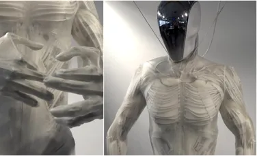 VIDEO: Cel mai corect robot din punct de vedere anatomic creat vreodată își flexează mușchii