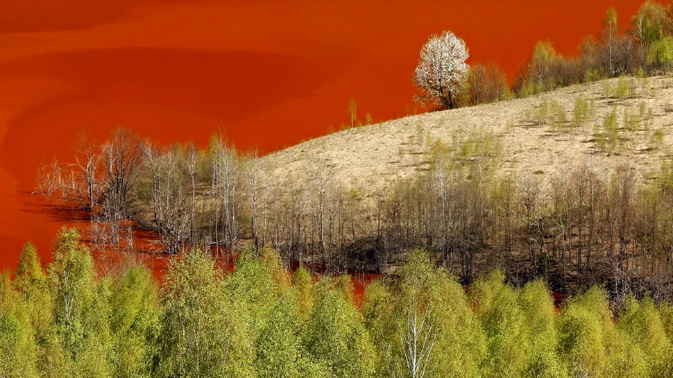 Fotografia zilei – Geamăna – Iazul Valea Şesii