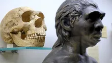 O suliță veche de 80.000 de ani contrazice tot ce știam despre neanderthalieni