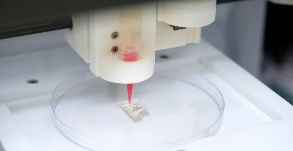 Medicii au transplantat o ureche imprimată 3D, făcută chiar din celulele pacientului