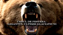 Ursul de pestera – Gigantul ultimei glaciatiuni