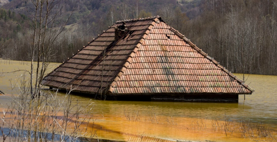 Cum să îți adaptezi casa pentru a rezista la inundații. Urgențe, pași esențiali și sfaturi