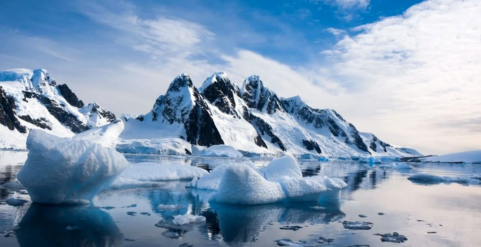 O nouă zonă maritimă declarată protejată: Marea Ross din Antarctica