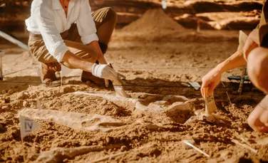 Comori impresionante din Epoca Bronzului, descoperite într-un sit funerar
