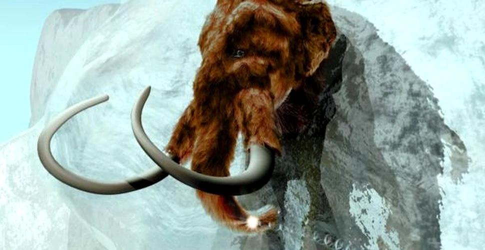 Genomul mamutilor va explica extinctia uriaselor mamifere