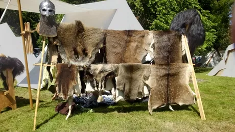 Arheologii ar fi găsit o așezare legendară a vikingilor