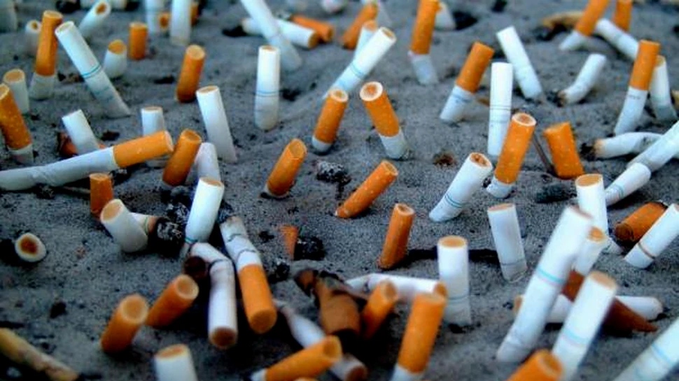 Unele tigari contin sange de porc!