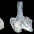 Test de cultură generală. Ce era fluierul aztec al morții?