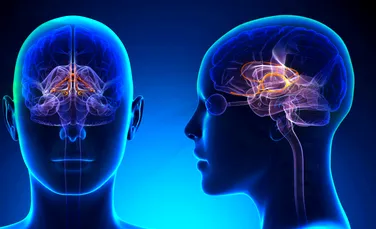 Creierul uman se ”reorganizează” în urma unor traume corporale
