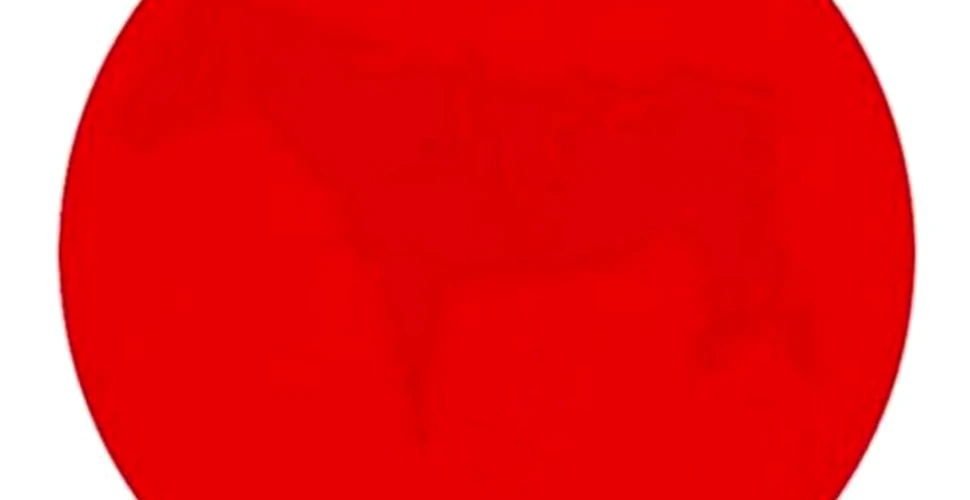 Poţi vedea ce se ascunde în spatele cercului roşu? Testul de iluzie optică care îţi stimulează atenţia – FOTO