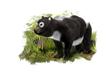 Un „văr” al ursului panda a trăit în Spania acum 11 milioane de ani