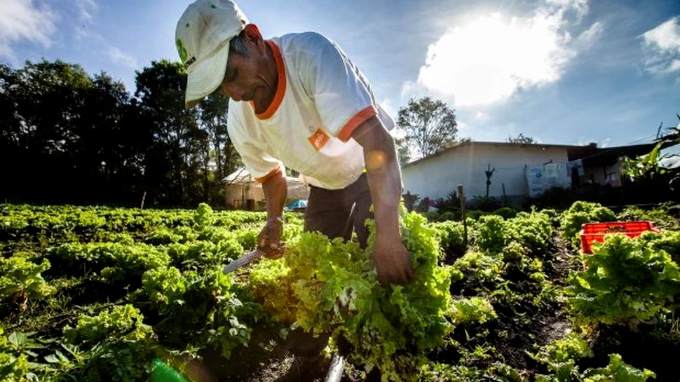 De luni, Pământul va fi depăşit. Ce se va întâmpla cu planeta noastră în data de 8 august: ”Putem trăi doar provizoriu”