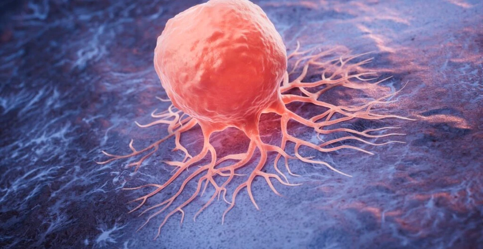 Teoria evoluției cancerului ar putea fi greșită. Cum vor să o rescrie oamenii de știință?