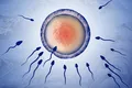 Alergia la spermă: motivul extrem de rar pentru care o femeie nu poate rămâne însărcinată
