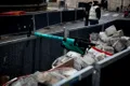 Câți dintre francezi sunt de acord cu interzicerea trotinetelor electrice pe străzile Parisului?