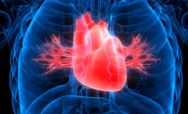 Americanii testează ”inima bionică”, pentru testarea valvelor cardiace artificiale
