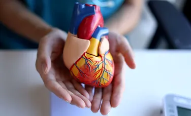 Cum ne protejează bătăile inimii de cancer? Un studiu anunță o descoperire uluitoare!