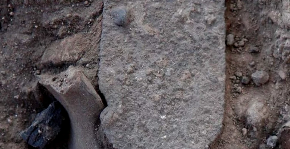 O nouă descoperire impresionantă făcută de arheologii israelieni: un sceptru canaanit
