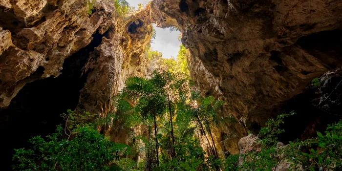 Cel mai vechi schelet uman, descoperit în Thailanda, ar putea rescrie istoria