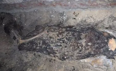 Cel mai vechi tratament ginecologic, descoperit după analizarea unei mumii egiptene