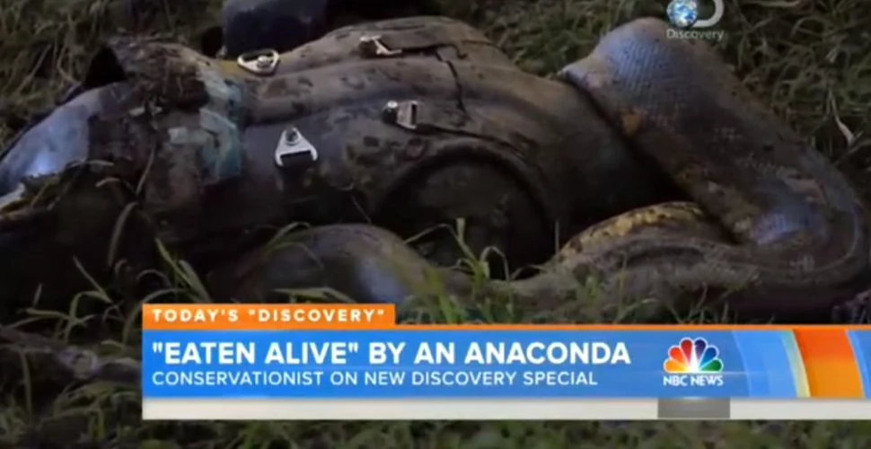 Ce s-a întâmplat cu naturalistul care s-a lăsat înghiţit de viu de un anaconda? (VIDEO)