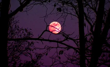 Fenomen astronomic de excepţie: ,,Luna Roz,” vestitoare a sărbătorilor pascale