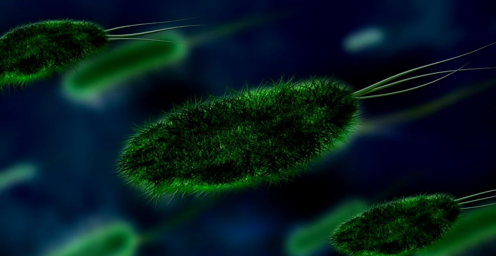 Cum influenţează microbiomul apariţia cancerului?