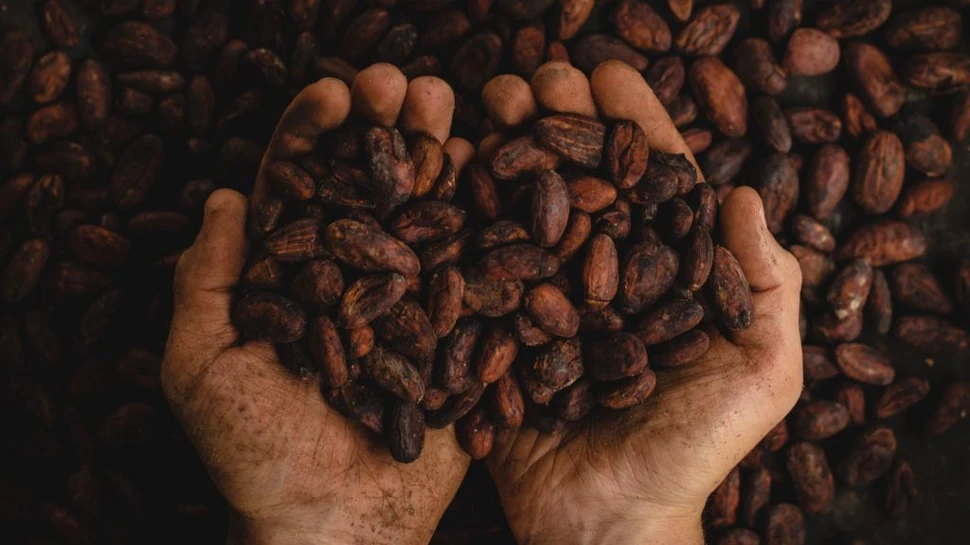 Prețurile cafelei rămân ridicate până în 2022, din cauza restricțiilor anti-Covid din Vietnam