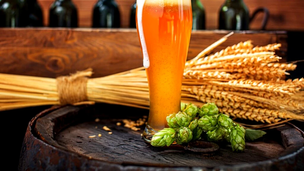 Cât timp trebuie să aștepți înainte de a urca la volan după ce ai consumat alcool?
