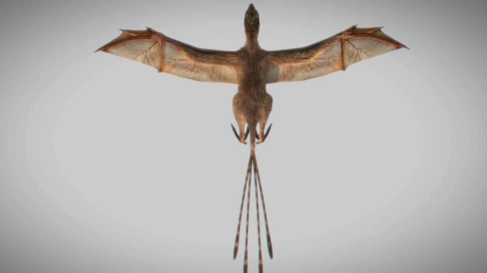 Descoperirea unei fosile de dinozaur asemănătoare liliacului oferă detalii neştiute depre evoluţia păsărilor