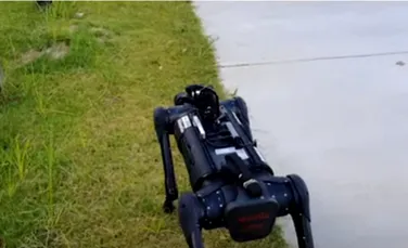 Va apărea robotul care poate merge în siguranță pe trotuare. Ce sarcini poate îndeplini
