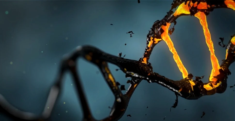 Am intrat într-o nouă eră a medicinei! Tehnica de editare genetică CRISPR va fi folosită anul acesta pentru tratarea bolnavilor de cancer