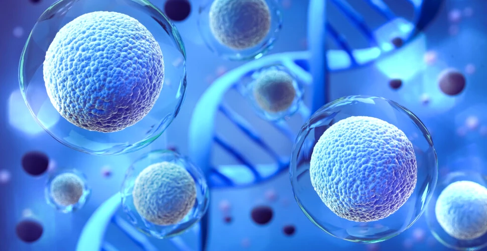 Cercetătorii dezvoltă o nouă tehnologie care ar putea dezvălui strămoșii cancerului