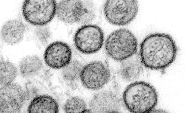 OMS dă asigurări că focarul de hantavirus de pe vasul de croazieră „nu este începutul unei noi pandemii”