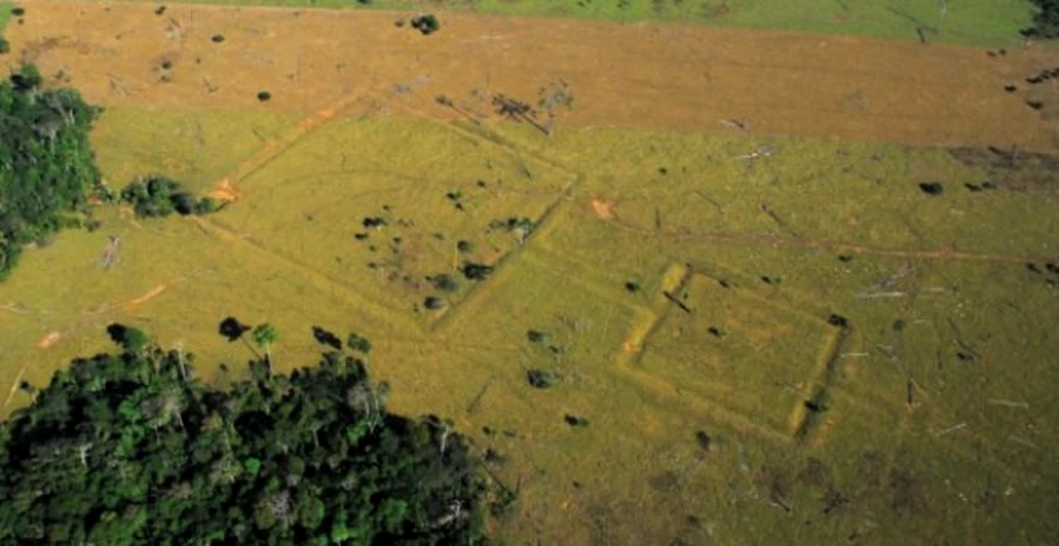 Civilizatia pierduta a Amazonului a fost descoperita “din greseala”
