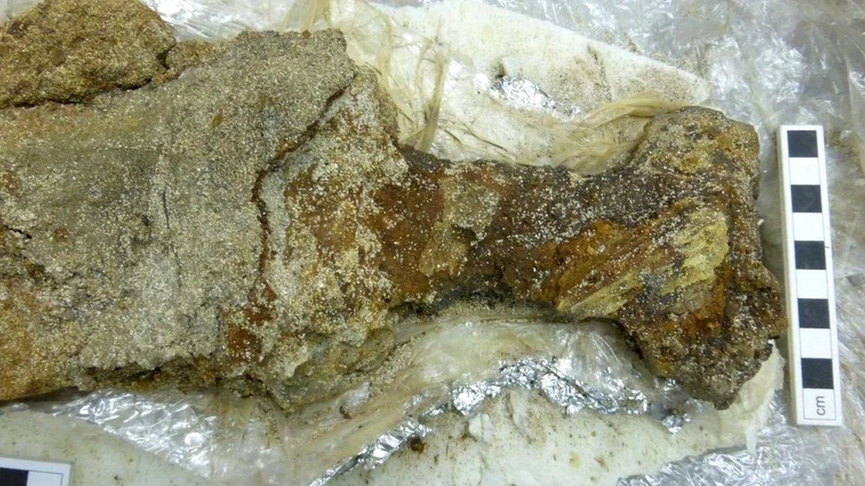 O sabie vikingă rară, găsită în insulele Orkney, considerată extrem de interesantă