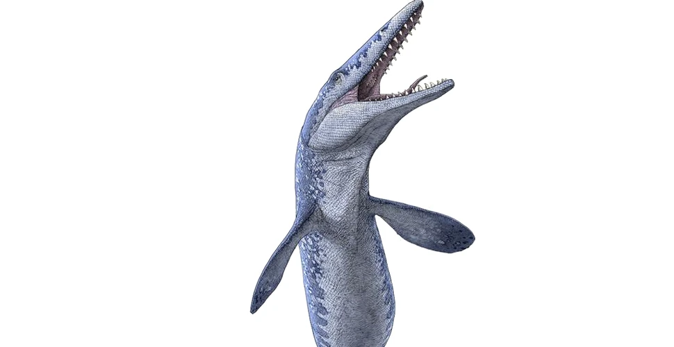 Fosila unui Tylosaurus, descoperită într-o mină din Canada