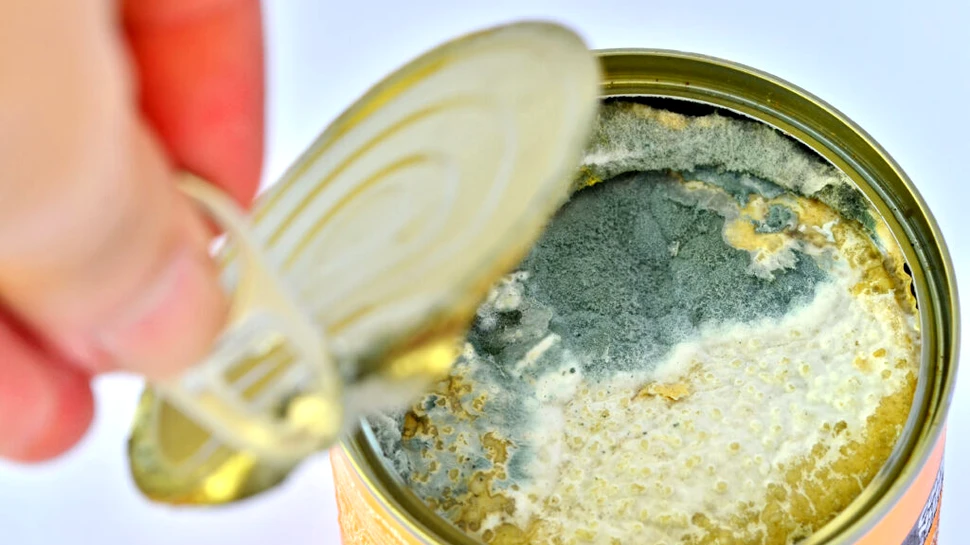 Este mâncarea cu adevărat expirată? Etichetele alimentelor înseamnă cu totul altceva