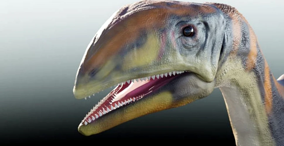 O nouă specie de dinozaur erbivor, descoperită pentru prima dată în Groenlanda