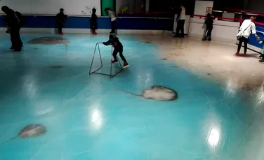 O „premieră mondială” horror în Japonia: patinoarul cu 5000 de vieţuitoare marine congelate în podea